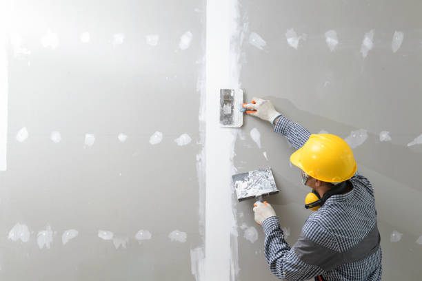 Best Black Mold Removal  in Tifton, GA