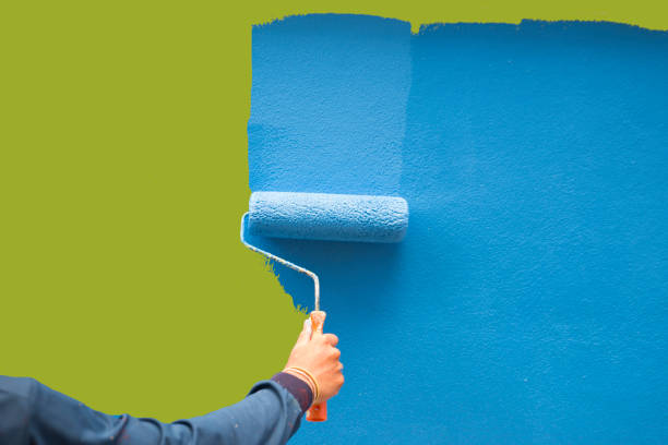 Best Mold Damage Restoration  in Tifton, GA