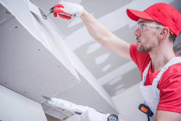 Best Mold Removal for HVAC Installations  in Tifton, GA